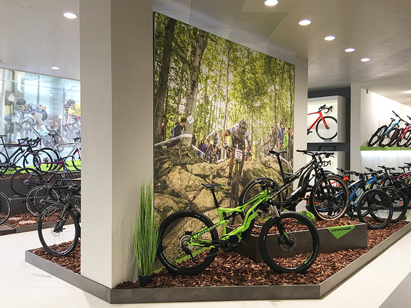 Cannondale